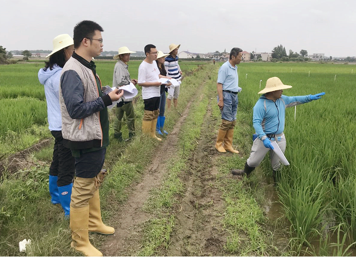 7790�ط����Ź�������������Ʒӭ���������ִ�